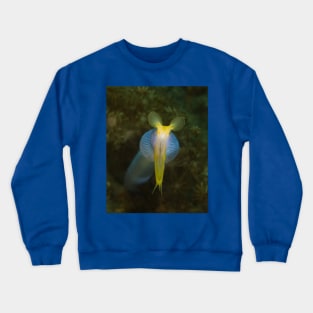 Down the Throat of a Ribbon Eel Crewneck Sweatshirt